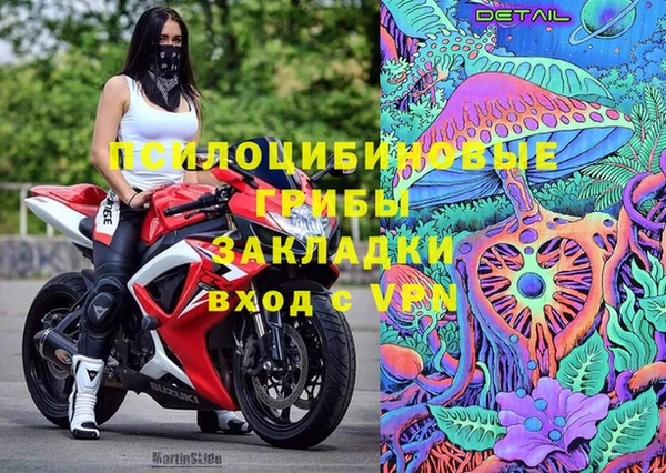 гидра Алзамай