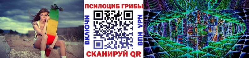 Псилоцибиновые грибы Psilocybe  Салехард 